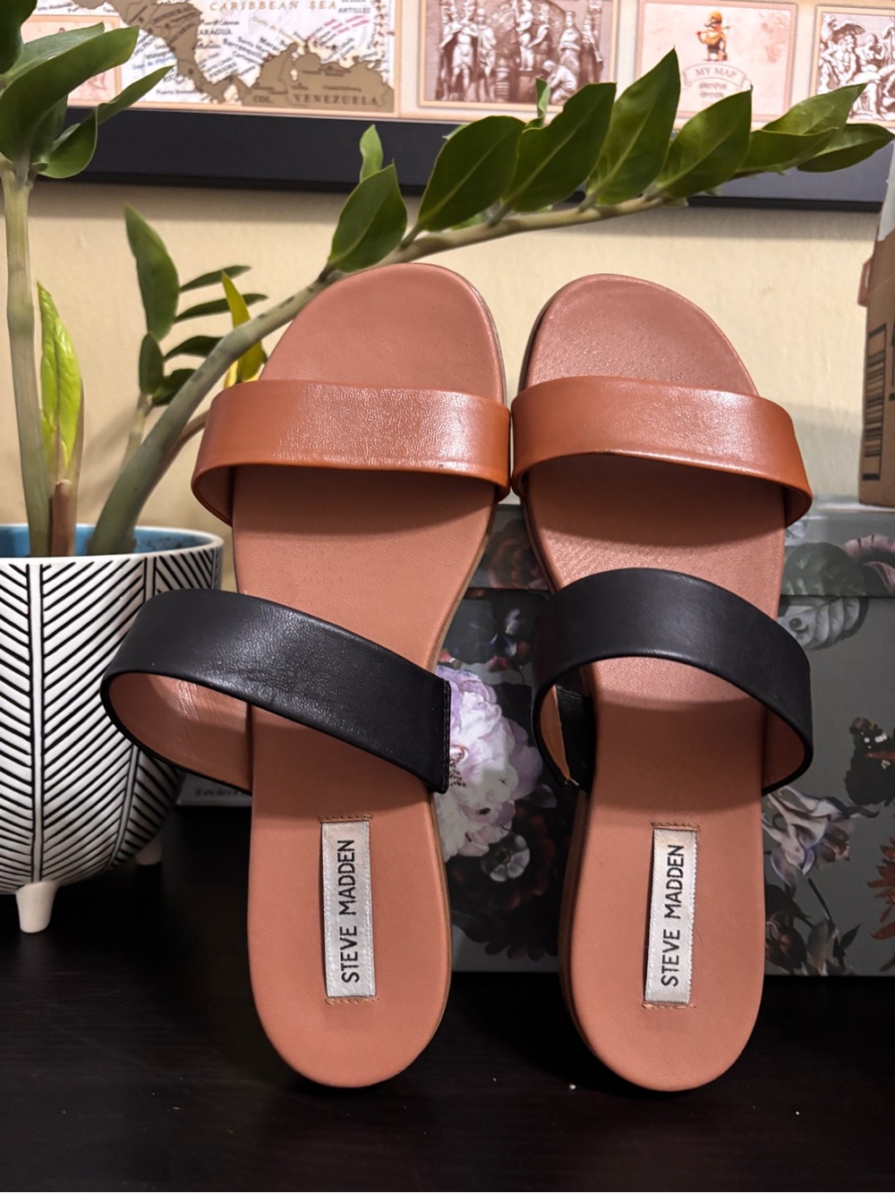 Steve Madden Two-Band Black and Brown Slide Sandals size 9.5